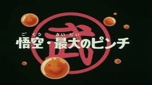 Dragon Ball - Dragon Ball - Saison 1 - Sangoku en pleine crise - image n°2