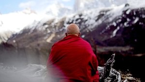 Loin du stress avec Matthieu Ricard