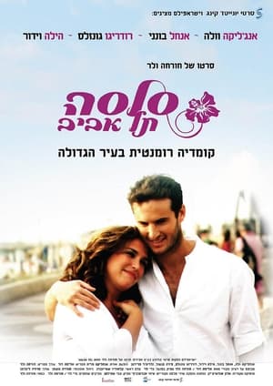 Poster סלסה תל אביב 2011