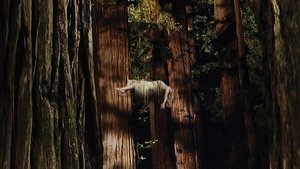 Woodshock (2017) Türkçe Dublaj izle