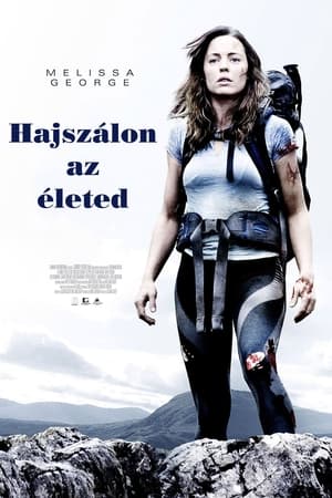 Poster Hajszálon az életed 2011