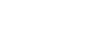 Ảnh 29