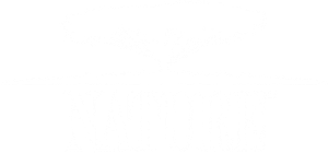 Nature — Logos 3
