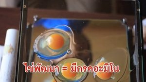 Episode 21