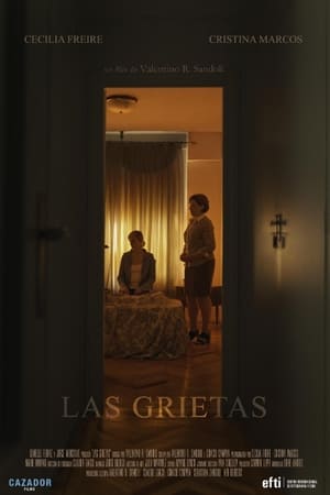 Poster Las Grietas 2020