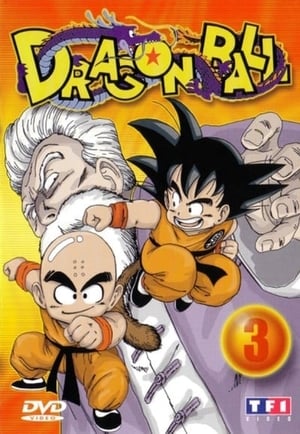 Dragon Ball - Saison 1 - poster n°4