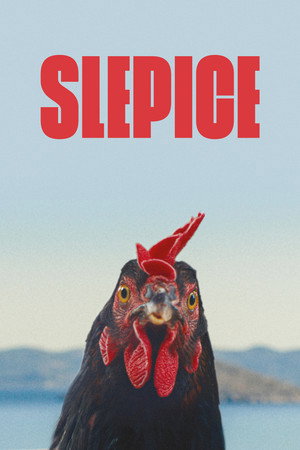 Slepice