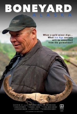 Ver Boneyard Alaska 2019 Online Español Latino 1080p Gratis