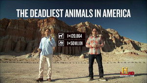 The Donna Reed Show: 3×32