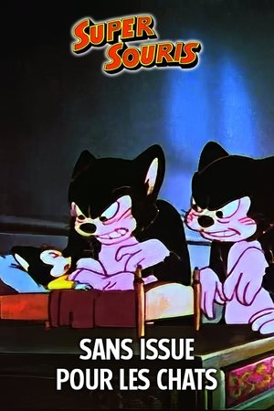 Affiche de Sans Issue Pour Les Chats