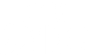 Zeb's Spider