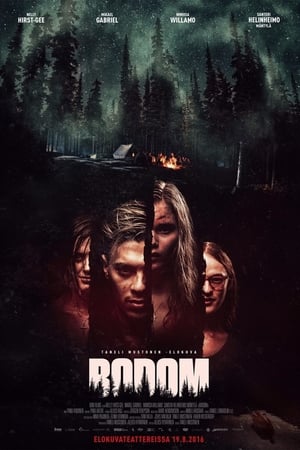 Poster Bodom 2016