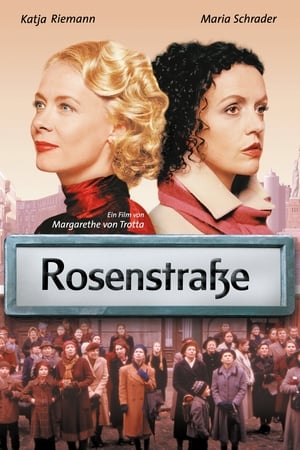 Poster Rosenstraße 2003
