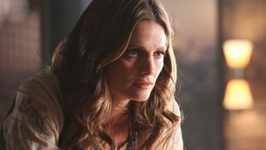 Castle Staffel 6 Folge 20