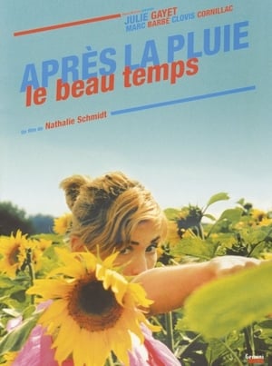 Poster Après la pluie, le beau temps 2003