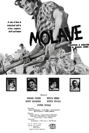 Poster Molave 1961