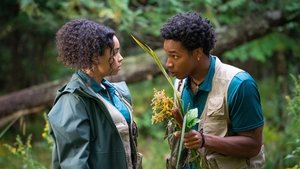 El Lago Un nuevo comienzo: 2×7 – Temporada 2 Episodio 7