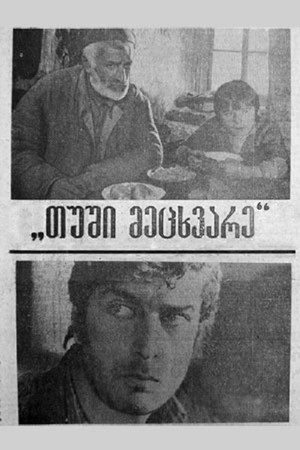 თუში მეცხვარე