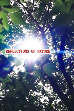 Image Reflections of Nature