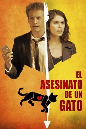 Poster El asesinato de un gato 2014