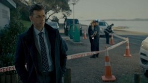 Auckland Detectives – Tödliche Bucht: 1×2