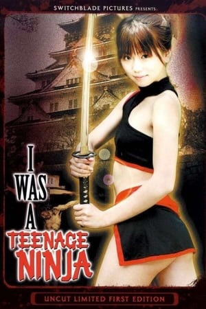 Poster I Was A Teenage Ninja (2007)