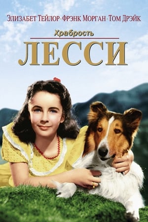 Храбрость Лесси (1946)