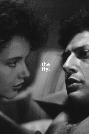The Fly 139