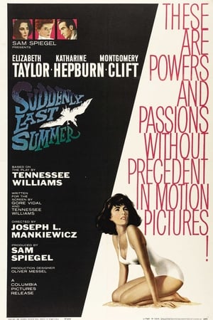 Suddenly, Last Summer cover