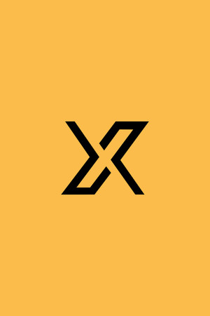 X调查