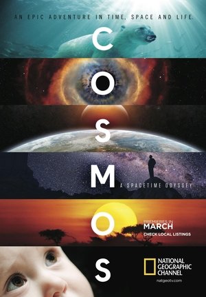 A Spacetime Odyssey