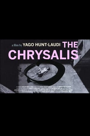 Image The Chrysalis