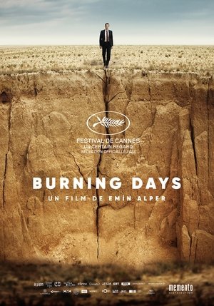 Burning days cover