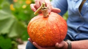 Episode 7 Autumn: Indoor Stunners & Bruny Island