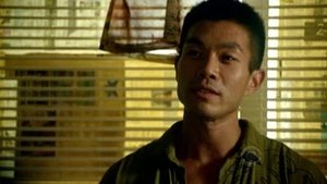 Hawaii Five-0 Season 1 Episode 9