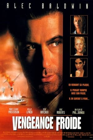 Poster Vengeance froide 1996
