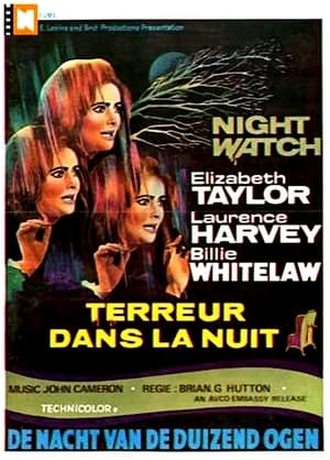 Poster Terreur dans la nuit 1973
