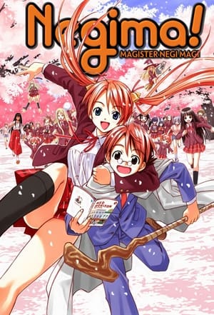 Poster Negima! Stagione 1 Asinus in cathedra 2005