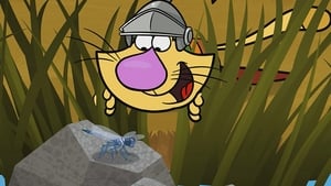 Nature Cat Enter the Dragonfly