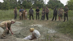 The Walking Dead