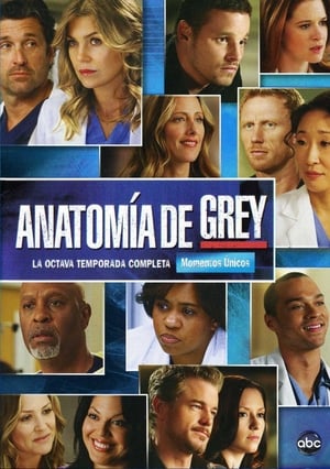 Anatomía de Grey: Temporada 8