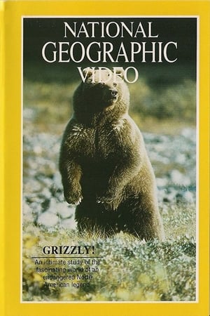 Poster Grizzly! 1967