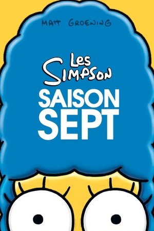 Les Simpson - Saison 7 - poster n°1