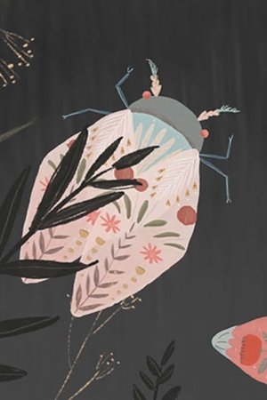Nonton film The Cicadae (2019) terbaru sub indo Nonton film The Cicadae (2019) terbaru sub indo