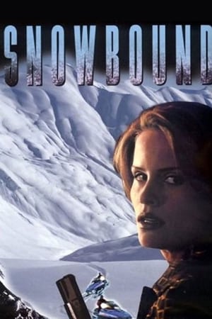 Poster Snowbound 2001