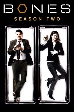 Bones Season 2