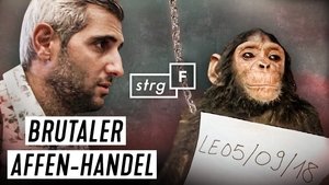 Episode 165