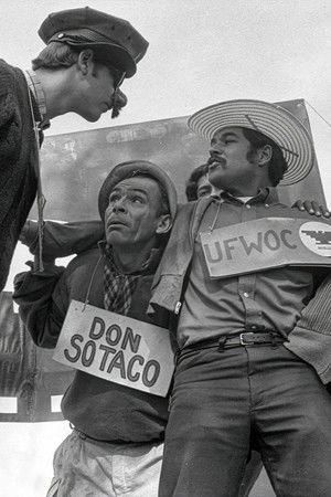 American Pachuco: The Legend of Luis Valdez