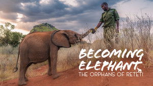 Becoming Elephant: The Orphans Of Reteti