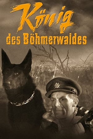 Image König des Böhmerwaldes